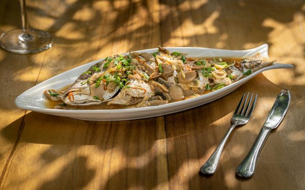 ¿Cómo influye la política en las noticias actuales?